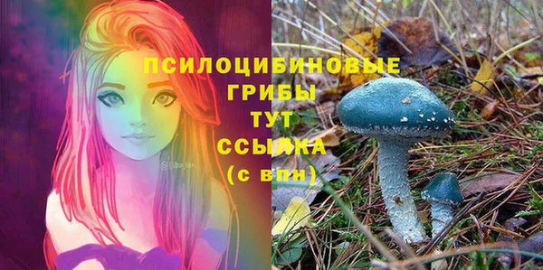MESCALINE Нягань