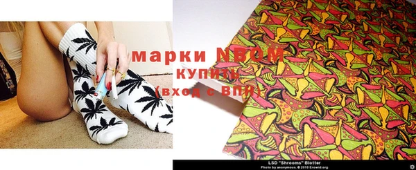 стафф Няндома