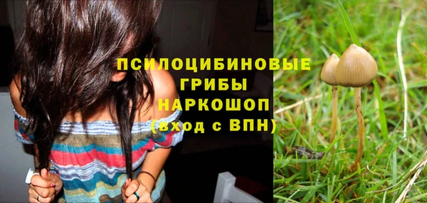 MESCALINE Нягань