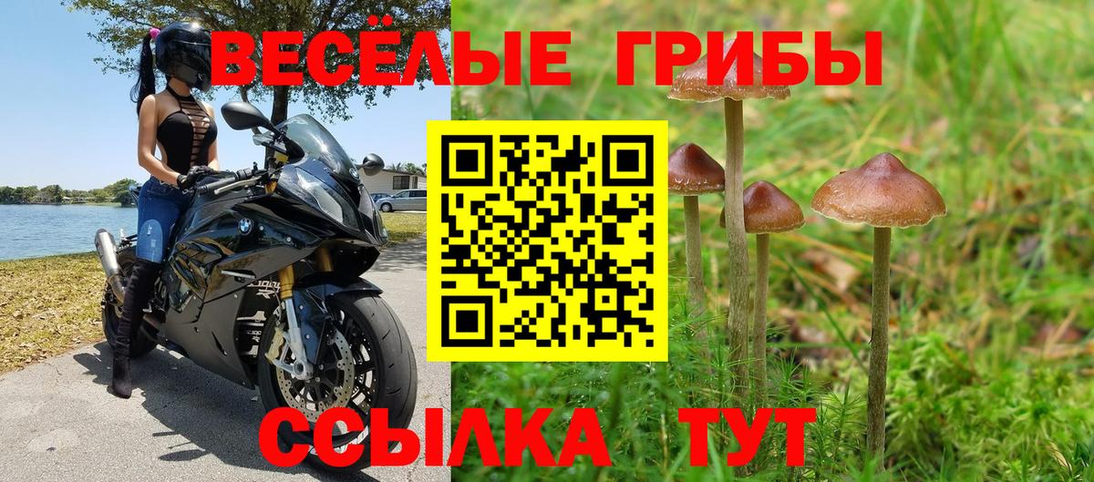 Псилоцибиновые грибы ЛСД  Семилуки 