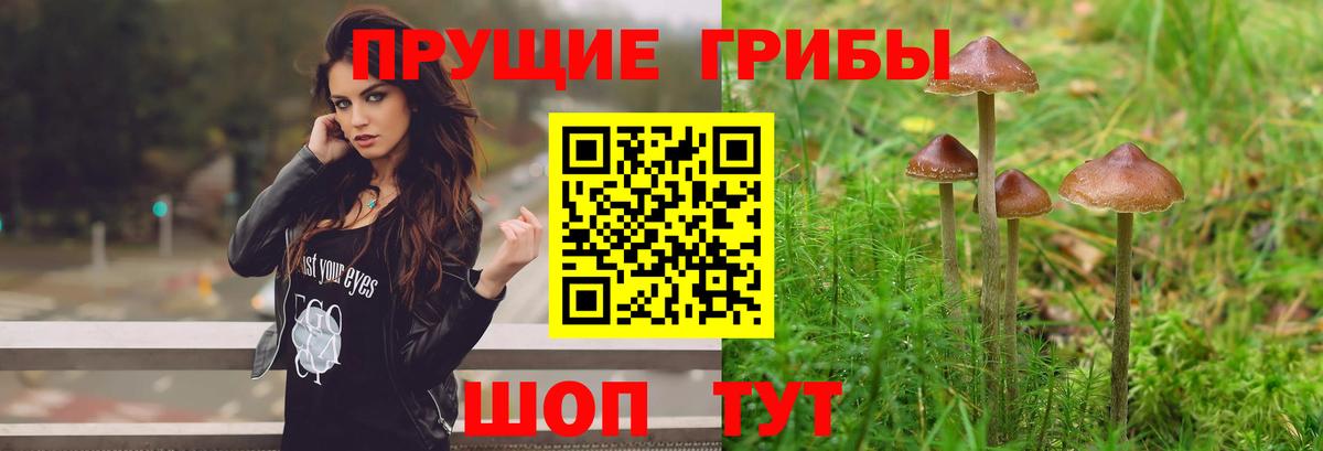 Семилуки  Псилоцибиновые грибы Cubensis  Галлюциногенные грибы Magic Shrooms  Вход с VPN 