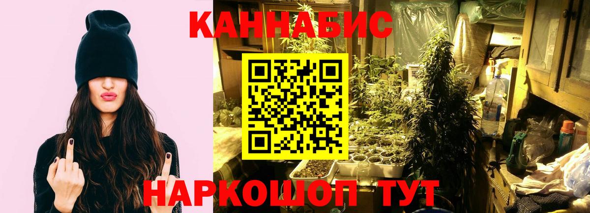 Марихуана семена  Вход с VPN  МАРИХУАНА VHQ  Семилуки  Бошки Шишки VHQ  Канабис индика 